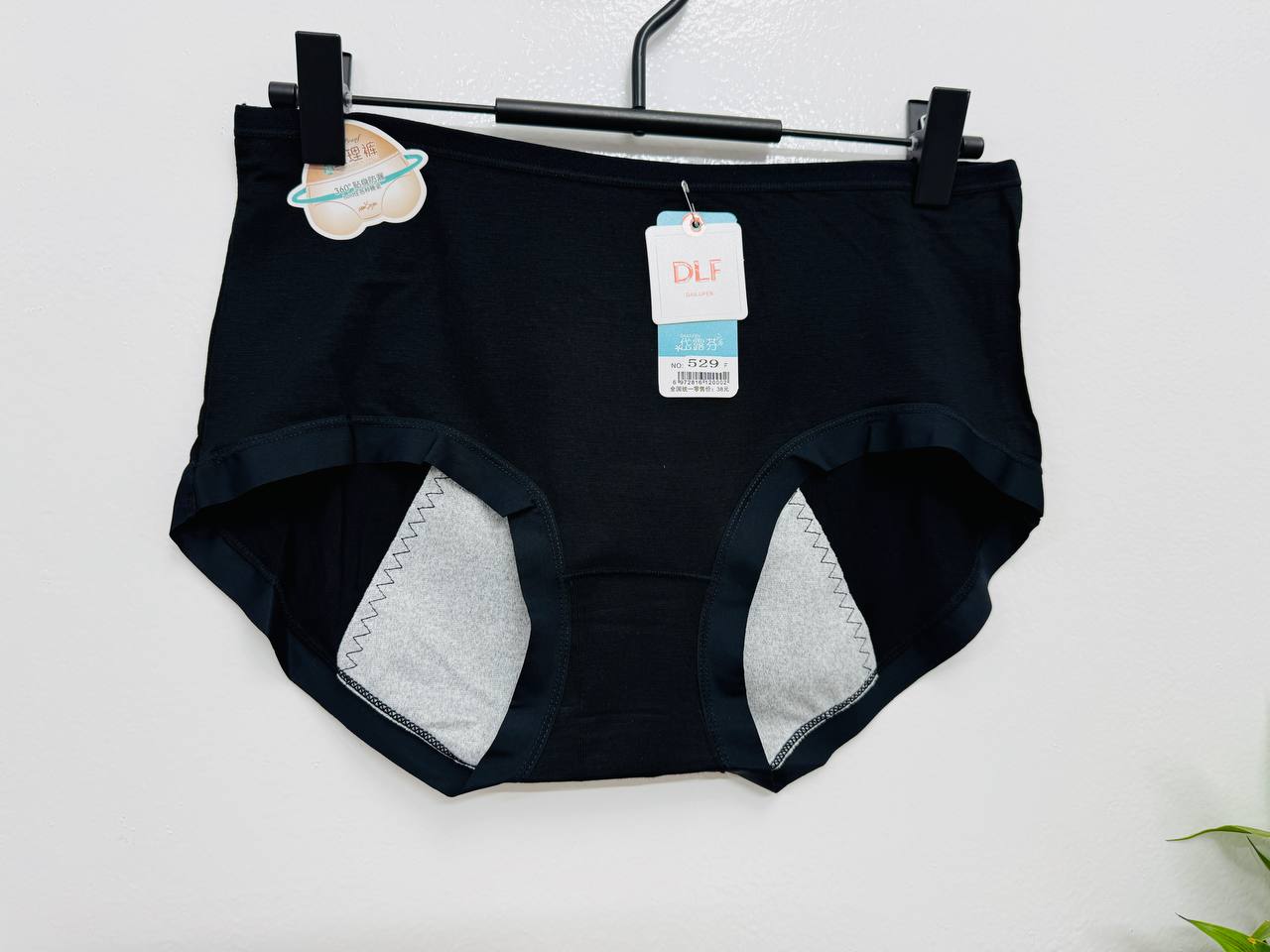 Period Panty
