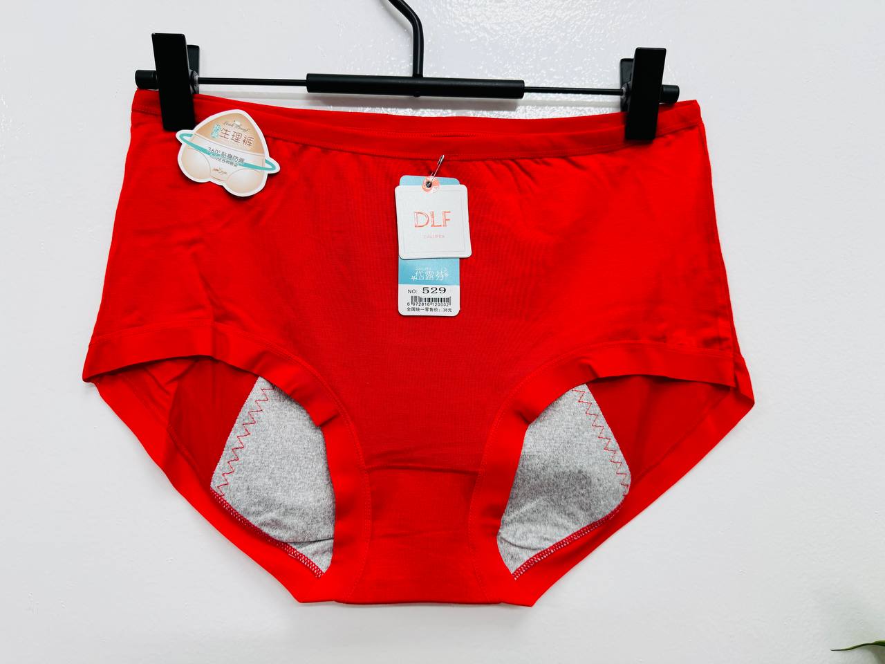 Period Panty