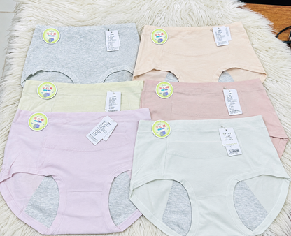 Imported Leak-Proof Period Panty / Sanitary Panty