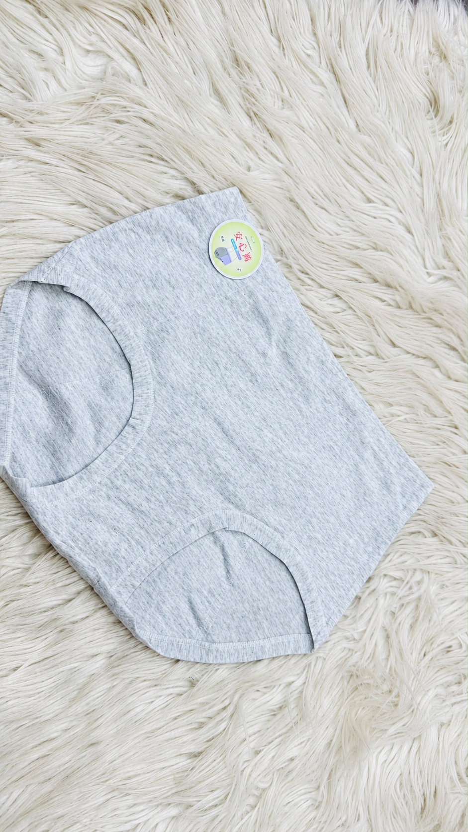 Imported Leak-Proof Period Panty / Sanitary Panty