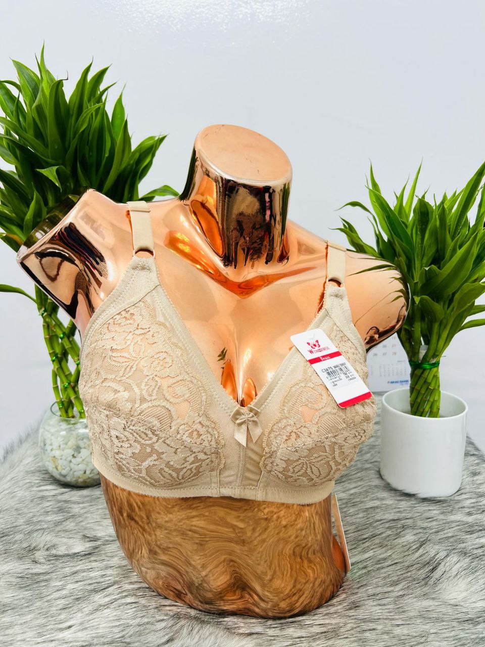 Wonderful Bra – Thailand’s Top  Branded Bra