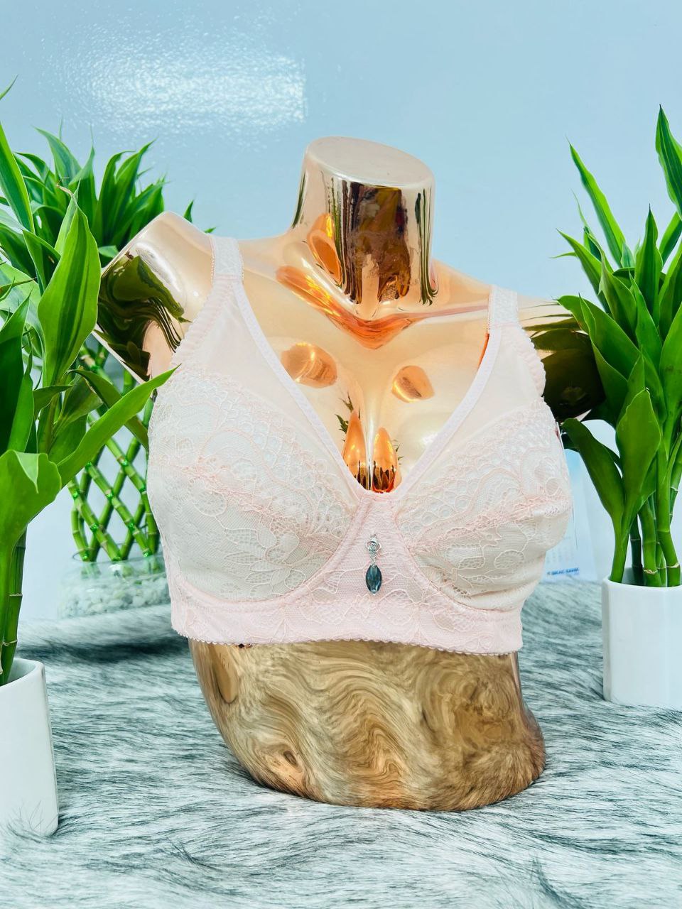 True Shape Pad Less Wired Bra (D Cup)