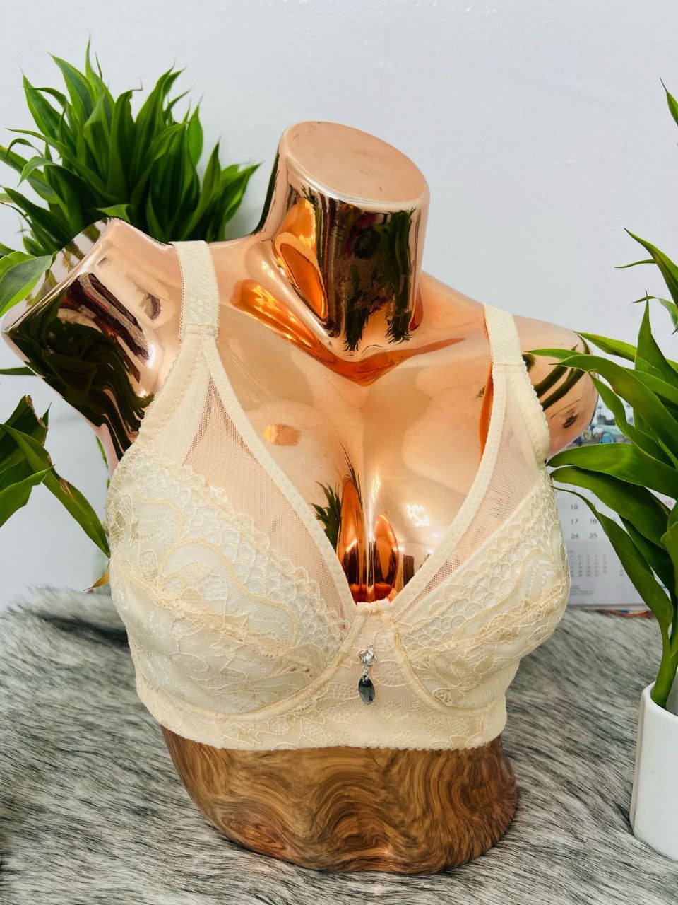 True Shape Pad Less Wired Bra (D Cup)